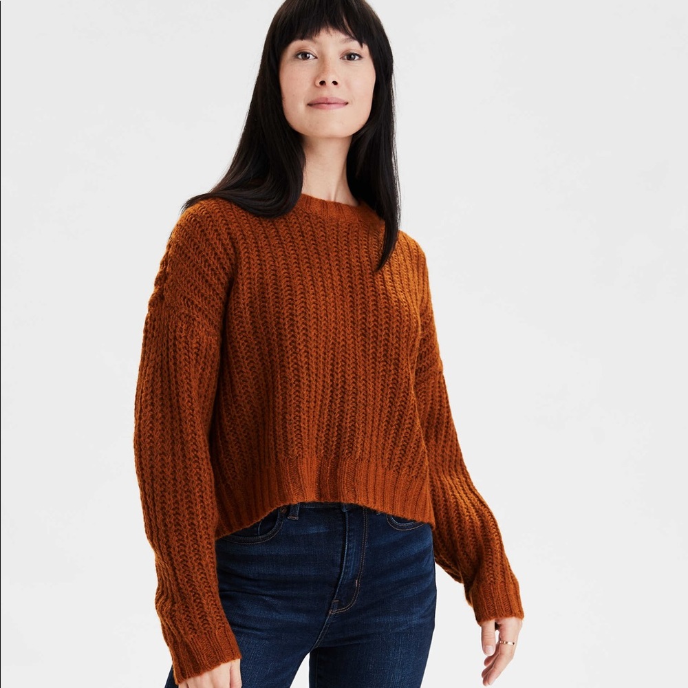 AE cozy crew neck cropped sweater
